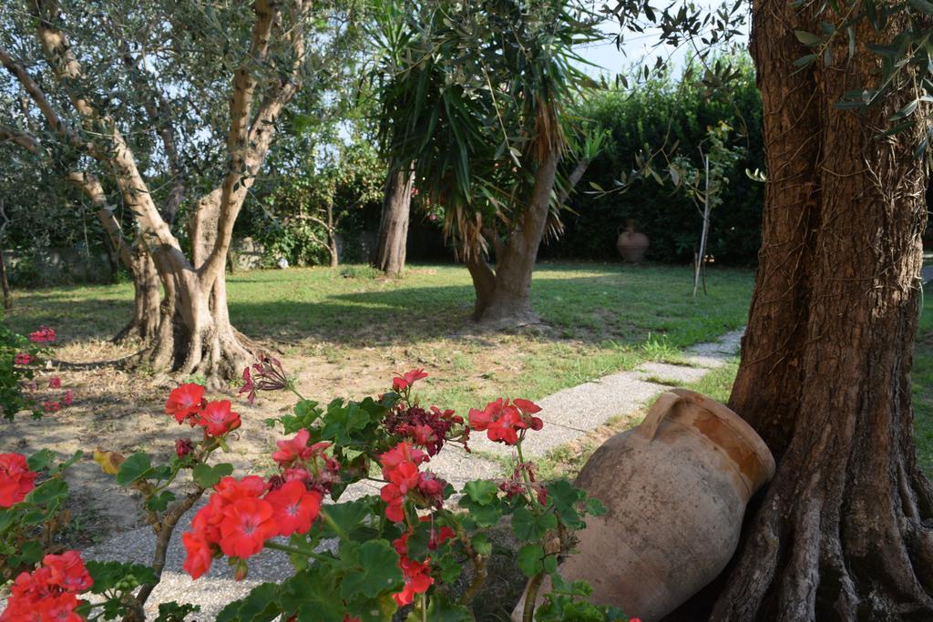 Bed and Breakfast La Convenienza Uliveto Terme Экстерьер фото