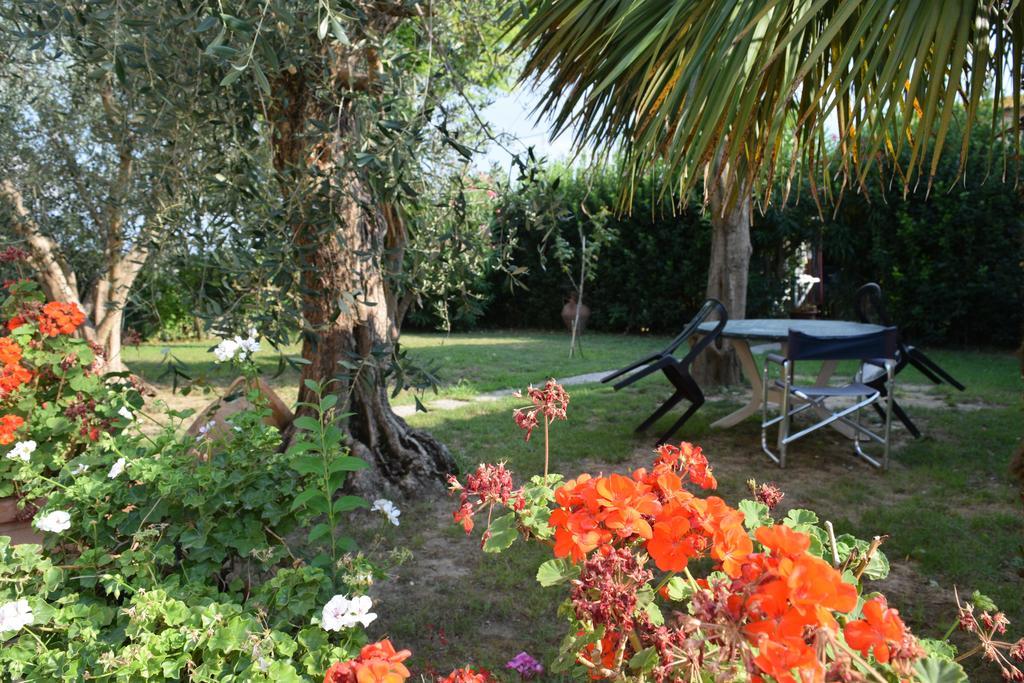 Bed and Breakfast La Convenienza Uliveto Terme Экстерьер фото