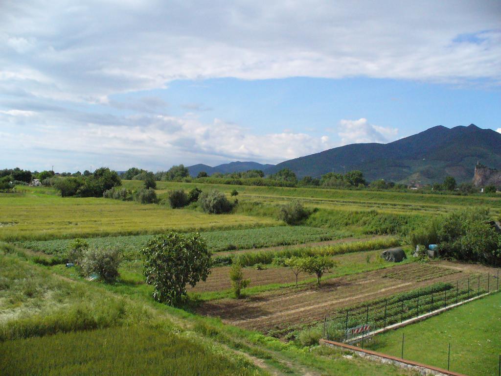 Bed and Breakfast La Convenienza Uliveto Terme Экстерьер фото