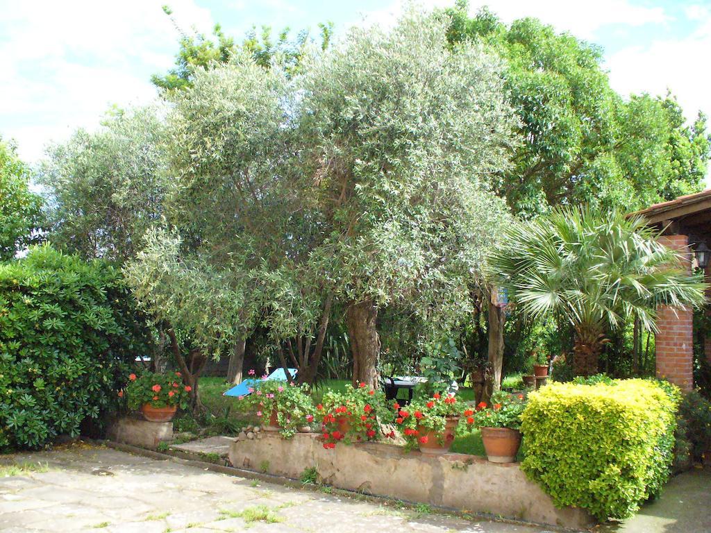 Bed and Breakfast La Convenienza Uliveto Terme Экстерьер фото